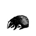 The English Stamp Company ・ Badger